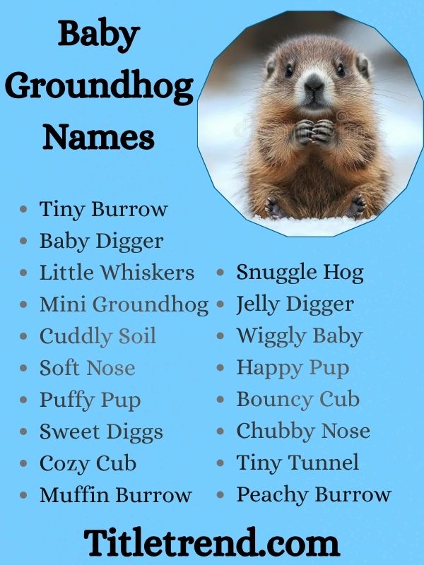 Baby Groundhog Names