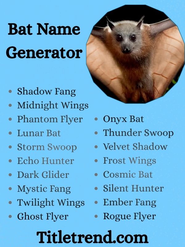 Bat Name Generator