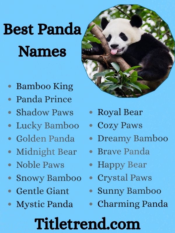 Best Panda Names