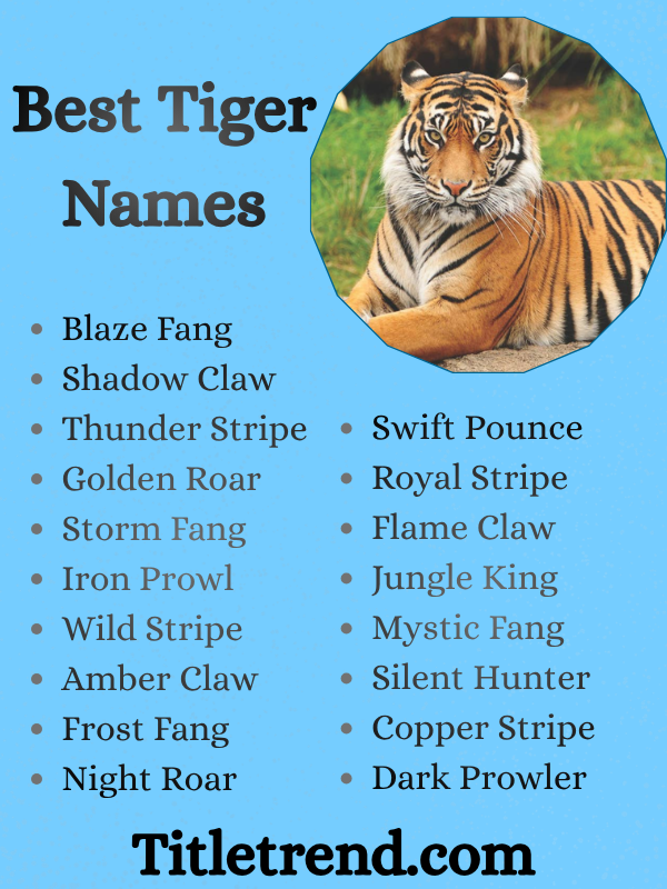 Best Tiger Names