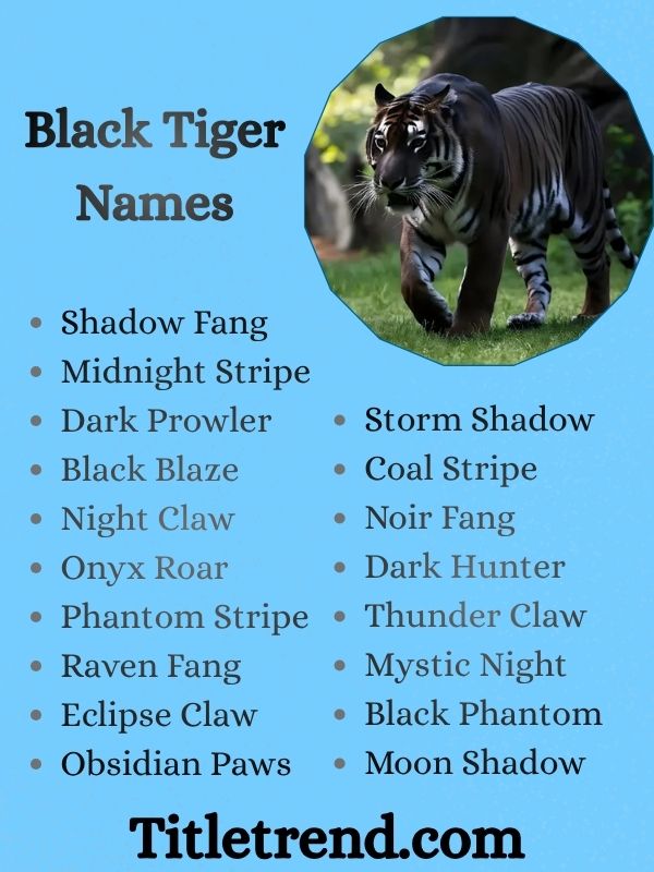 Black Tiger Names