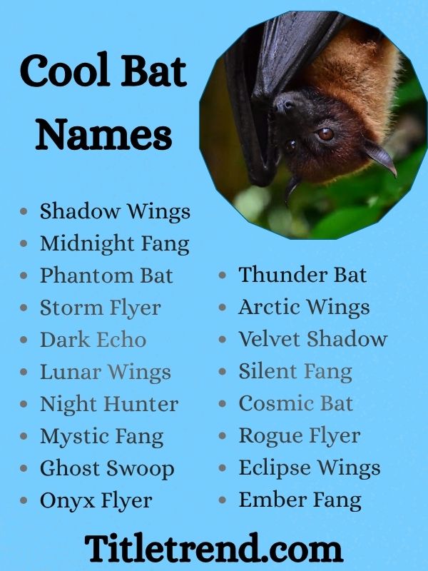 Cool Bat Names