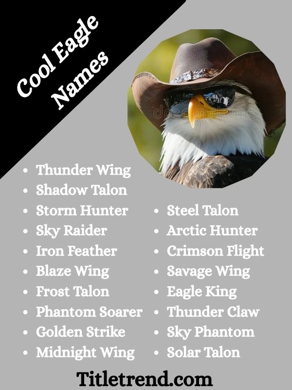 Cool Eagle Names