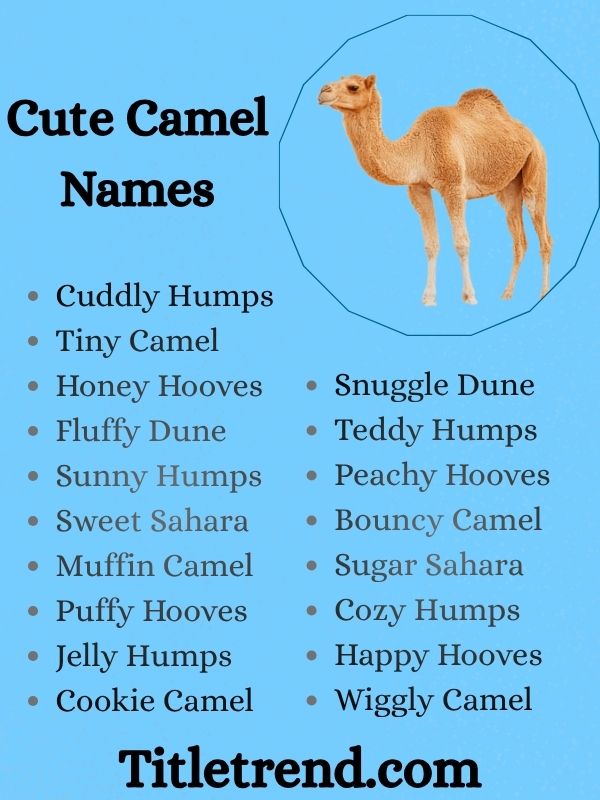 Cute Camel Names
