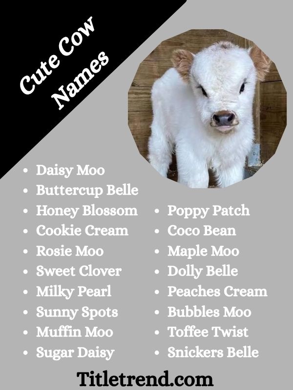 Cute Cow Names