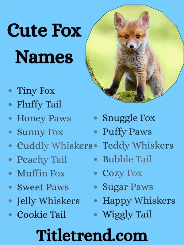 Cute Fox Names