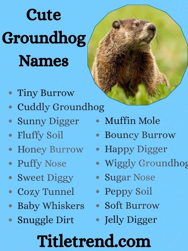 Cute Groundhog Names