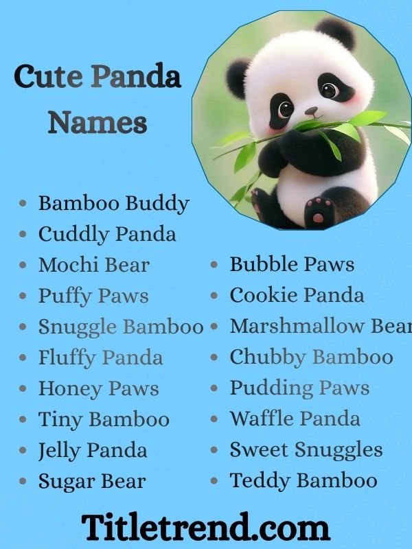 Cute Panda Names