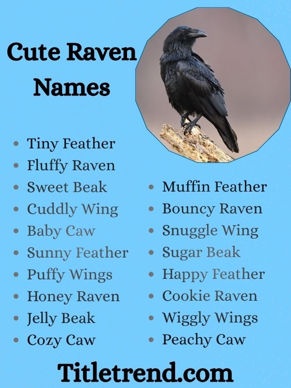 Cute Raven Names