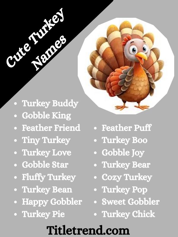 Cute Turkey Names