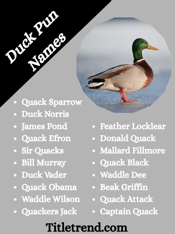 Duck Pun Names