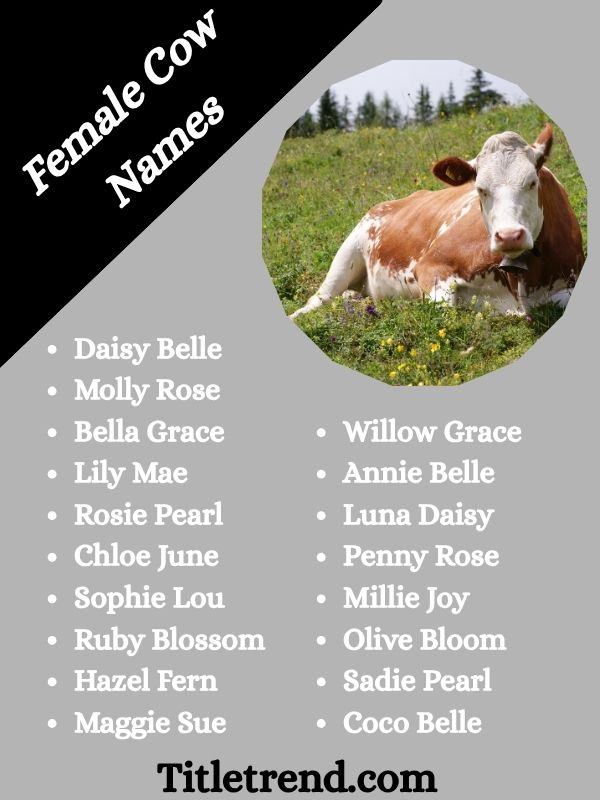 Female Cow Names