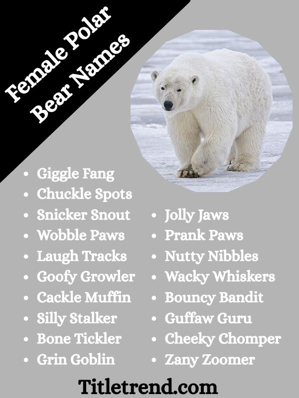 Female Polar Bear Names