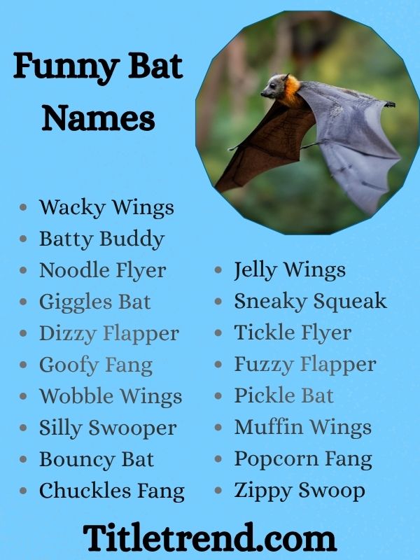 Funny Bat Names