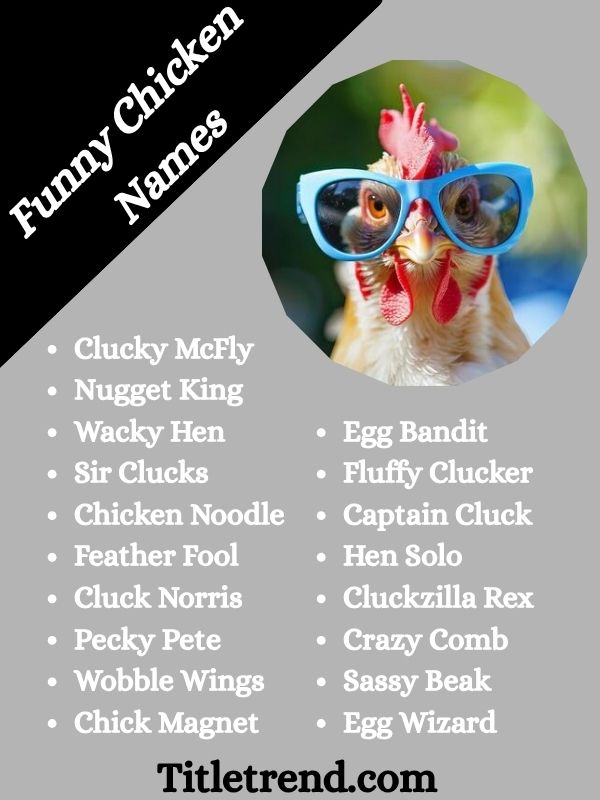 Funny Chicken Name