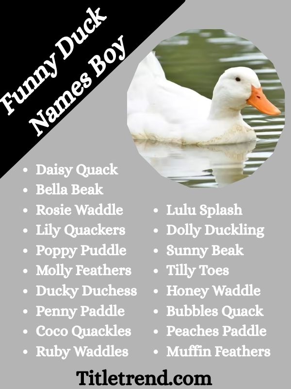Funny Duck Names Boy