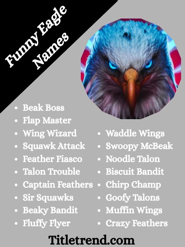 Funny Eagle Names