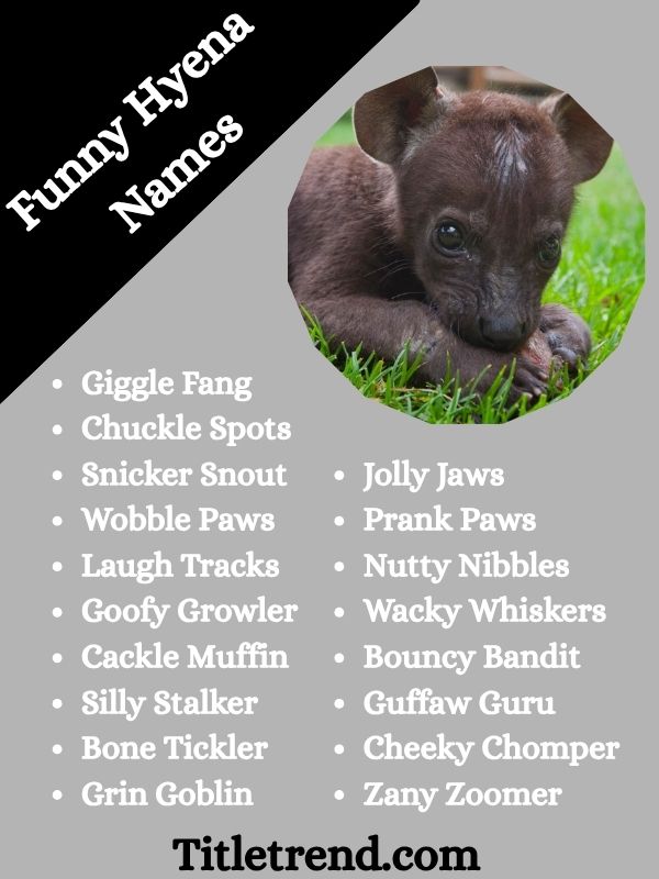 Funny Hyena Names