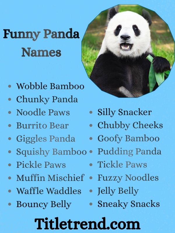 Funny Panda Names