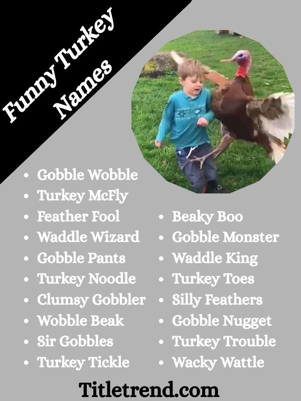 Funny Turkey Names