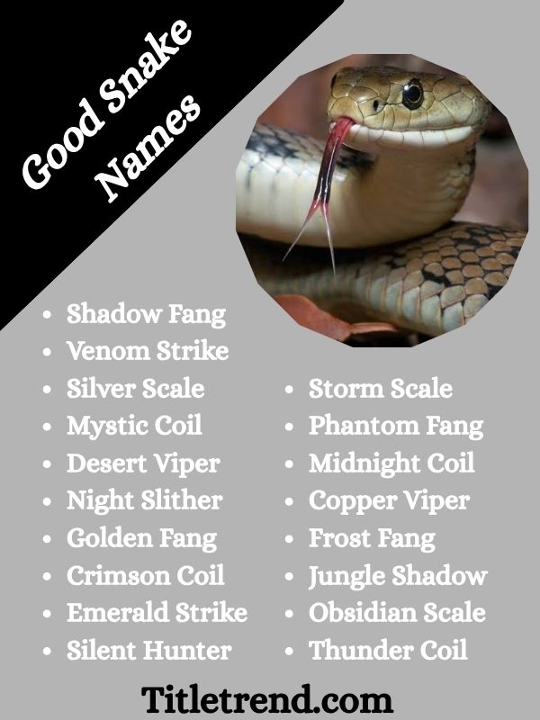 Good Snake Names