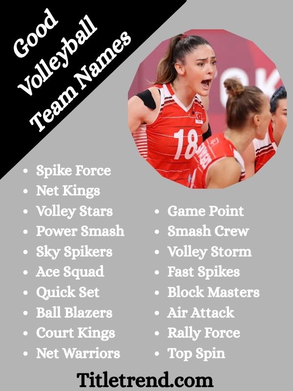 Good Volleyball Team Names