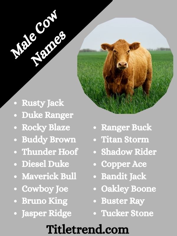Male Cow Names