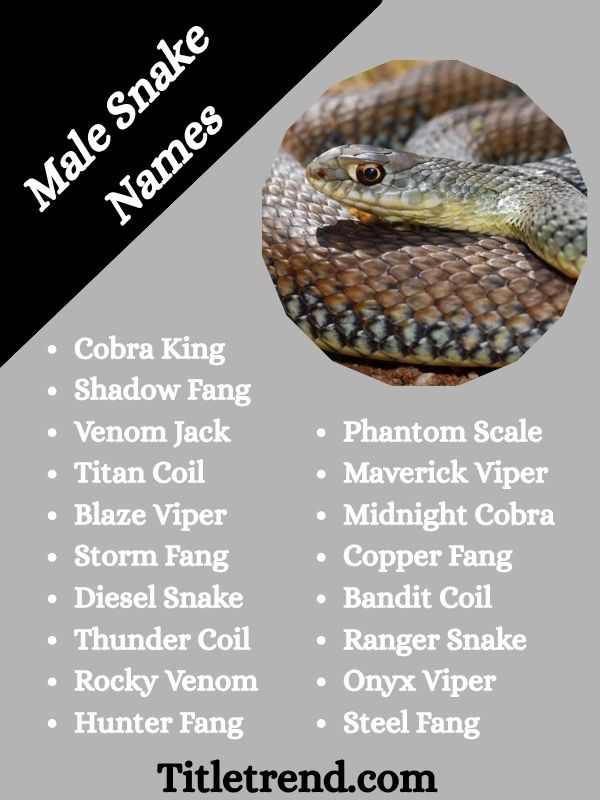 Male Snake Names