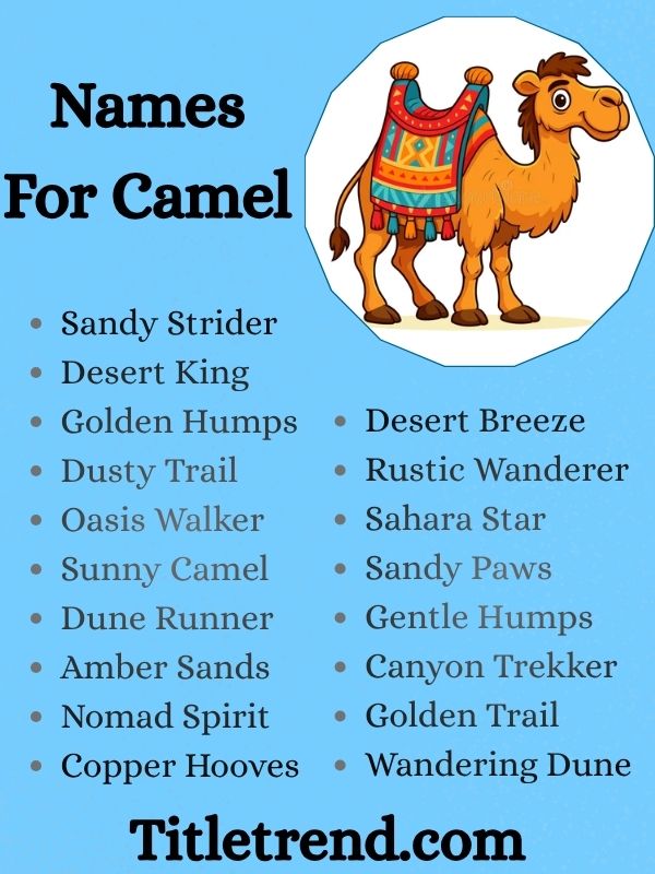 Names For Camel