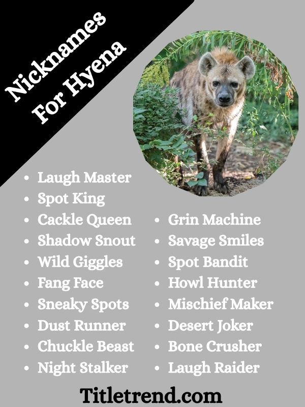 Nicknames For Hyena