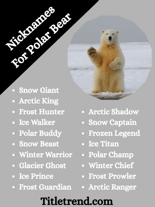 Nicknames For Polar Bear