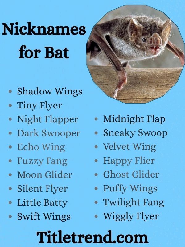 Nicknames for Bat