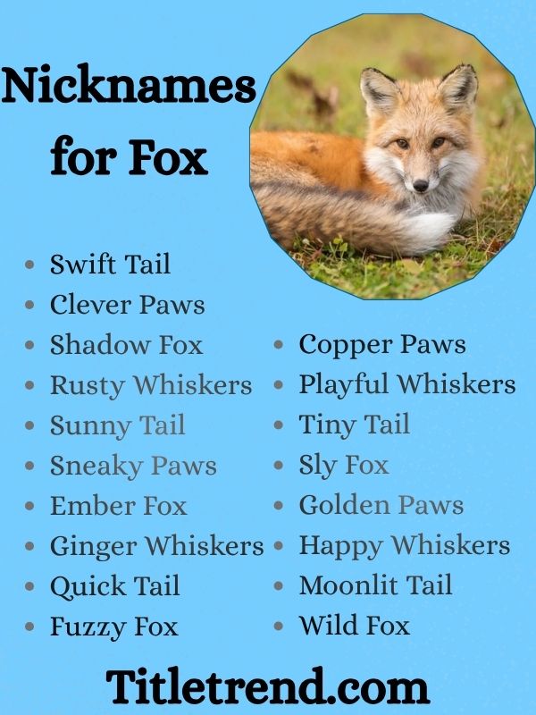 Nicknames for Fox