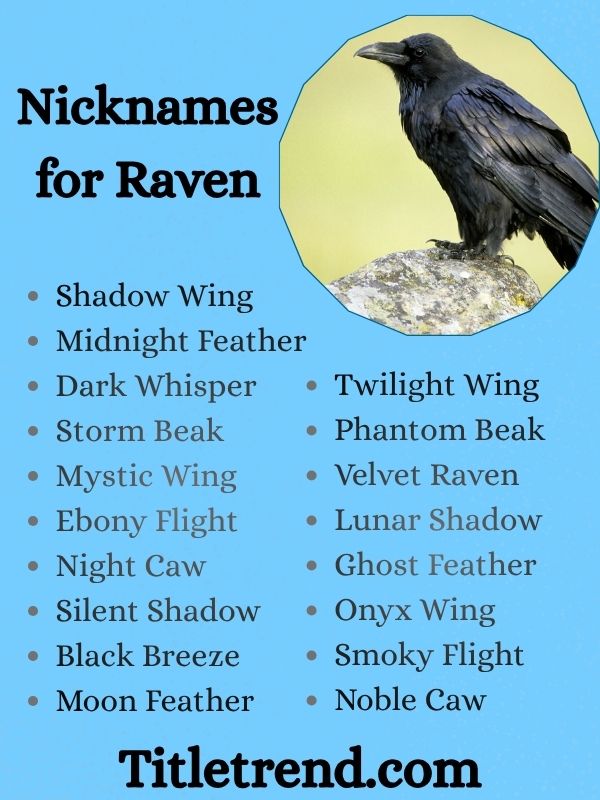 Nicknames for Raven
