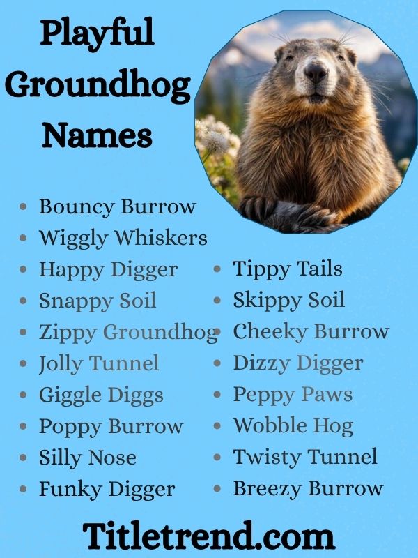 Playful Groundhog Names